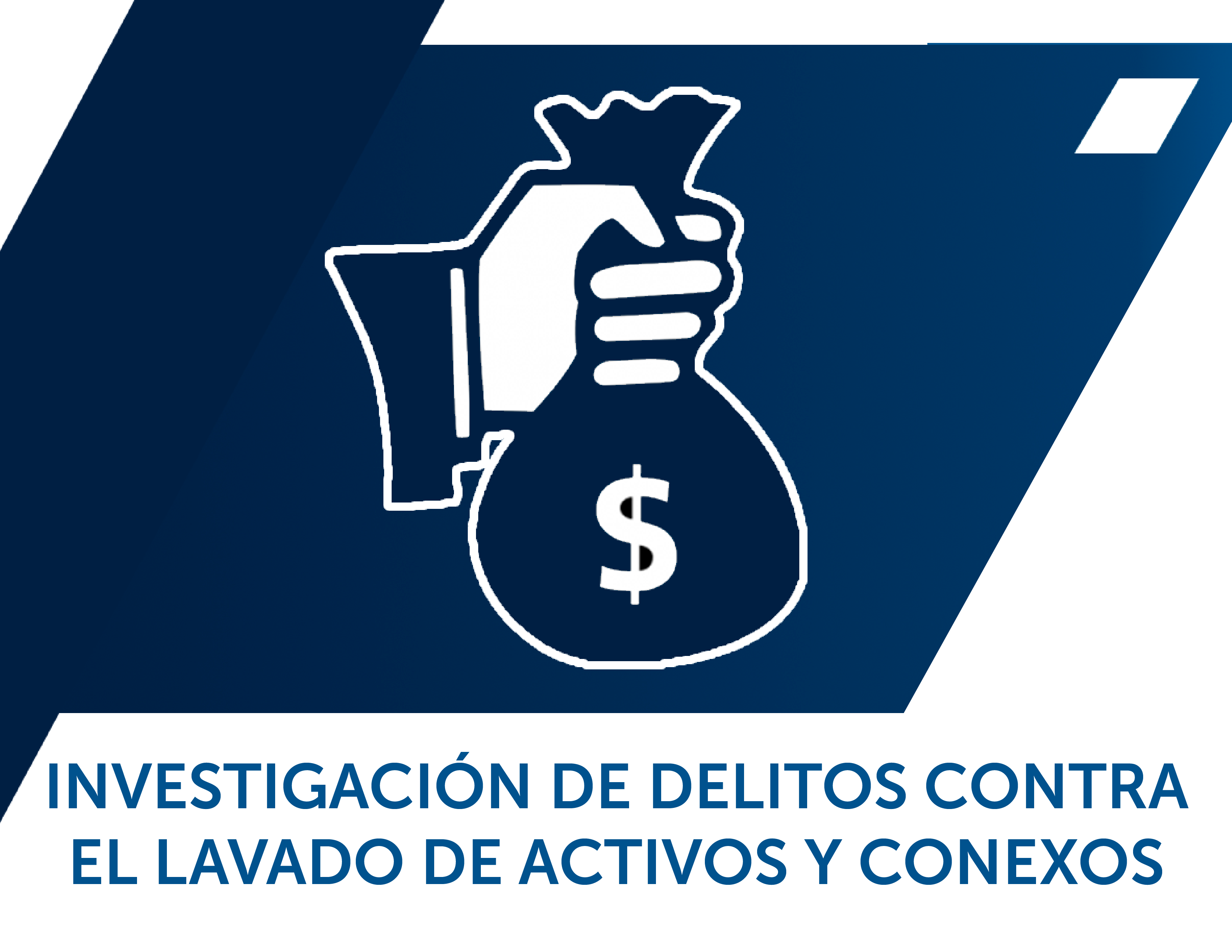 AF1725-0527 Curso de investigación de delitos contra el lavado de activos y conexos